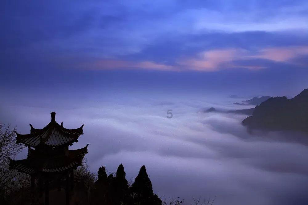 妙鸭相机app下载官网