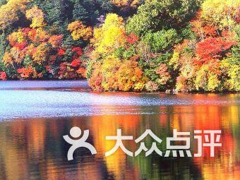 网页游戏