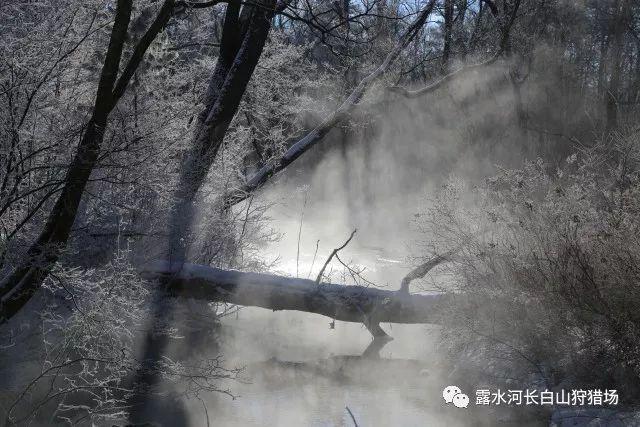263÷25的商是几位数848÷93的商是几位数