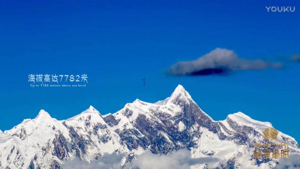 泡泡趴