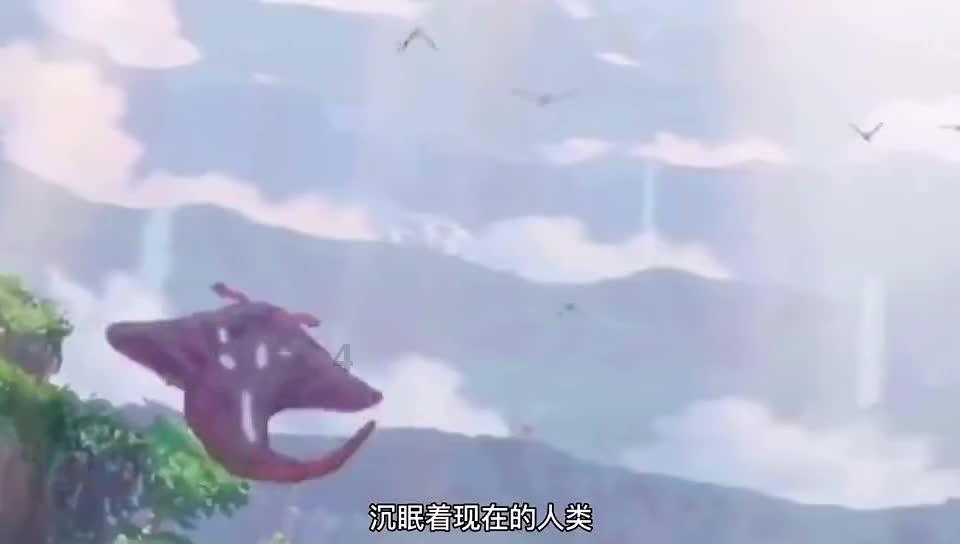 镜之边缘