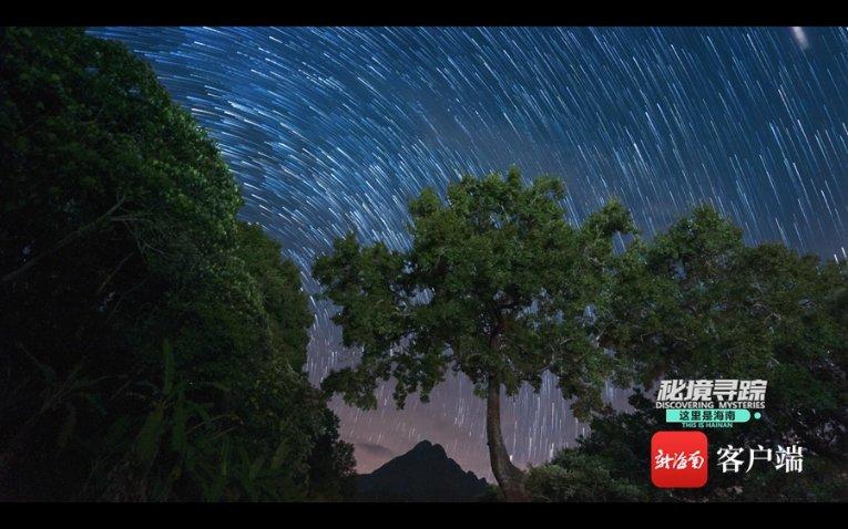浇花的漂亮女孩