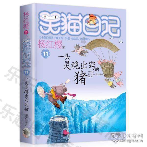 创作猫