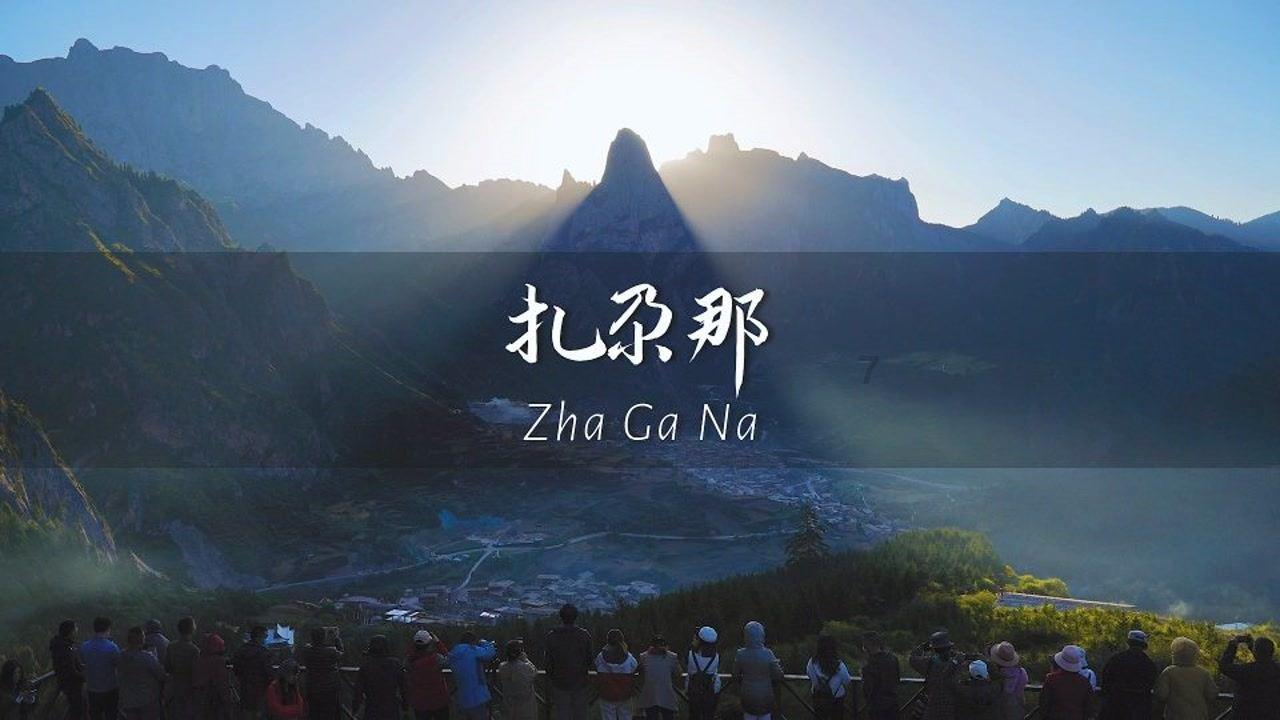 听劝 站站家族强势回归 小伙伴们快来沈阳站站