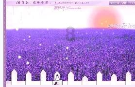 一直写，不要停，和AI一起｜Z Events