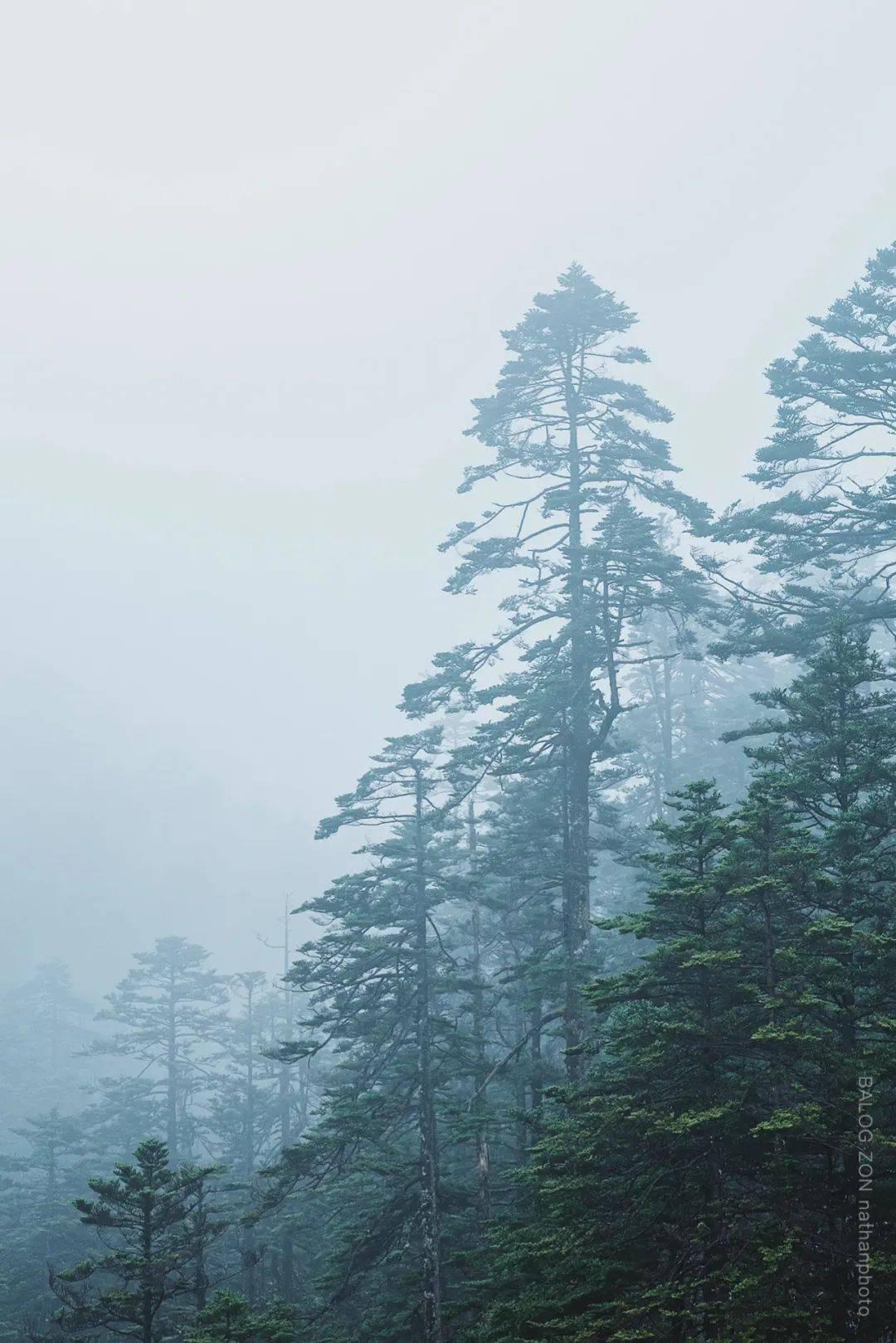 精灵的冒险之旅