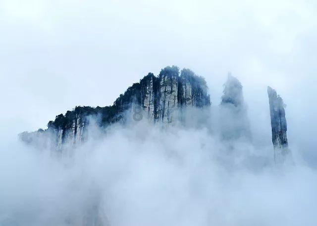 逗小猴开心系列178