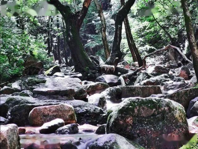 逃出猫头鹰岛