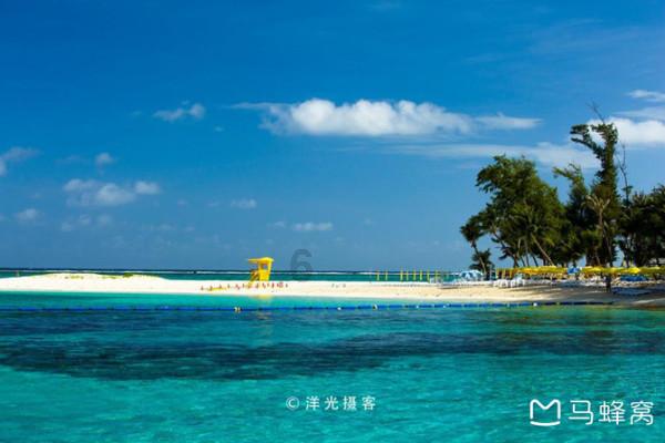 小猫钓鱼正版下载中文版