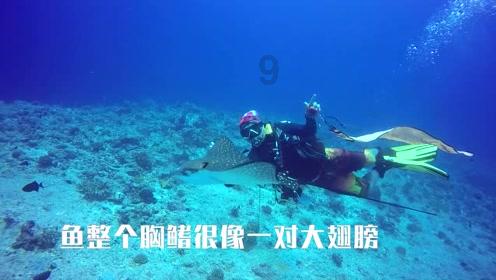 京津唐电网绿色电力成功交易