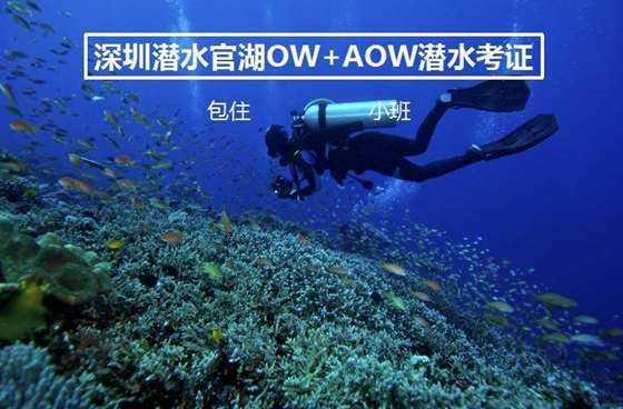 送礼送六个核桃怎么样？游戏画面