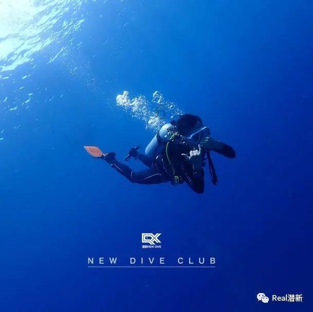 救援小巨鳄