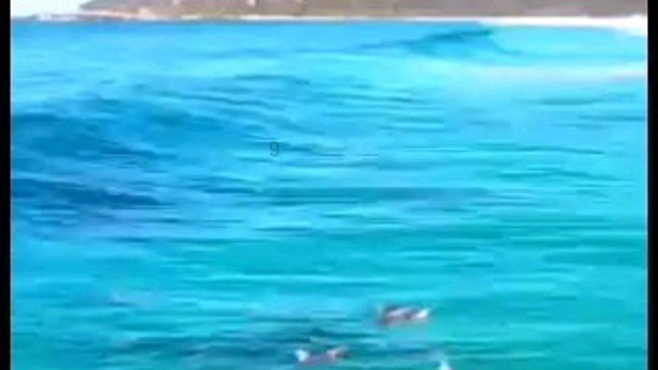 守望先锋电竞