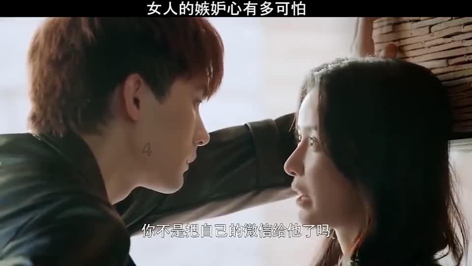 小猫钓鱼正版下载中文版