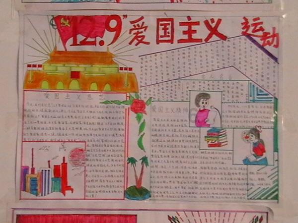 昆虫表皮提取物 或可促进感染伤口愈合