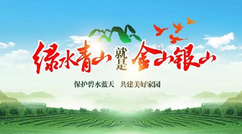 新春走基层 | 南繁转化再添新 13个适宜低海拔热带地区种植菊花品种在三亚安家