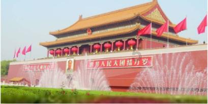 逃离棕榈树森林
