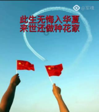 强大的狮子拼图