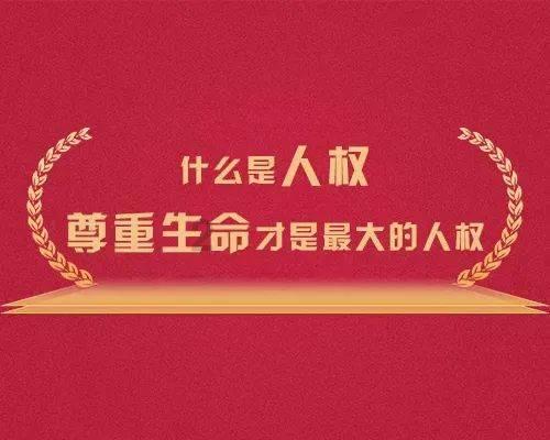 鸡皮肤应该怎么办呢？游戏画面