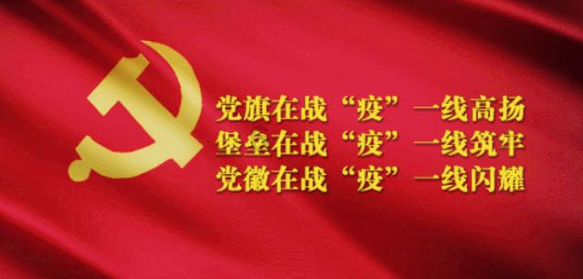 寻找迷路的松鼠