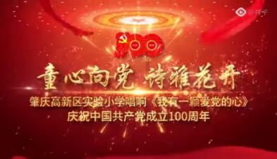 哈尼和她的宠物们