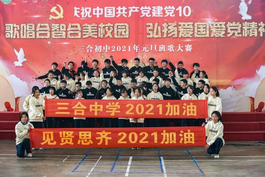 救援达尔马提亚狗