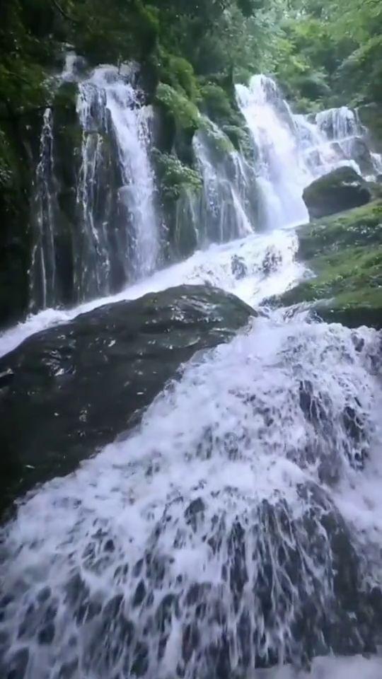 燃烧吧大脑装瓶子游戏