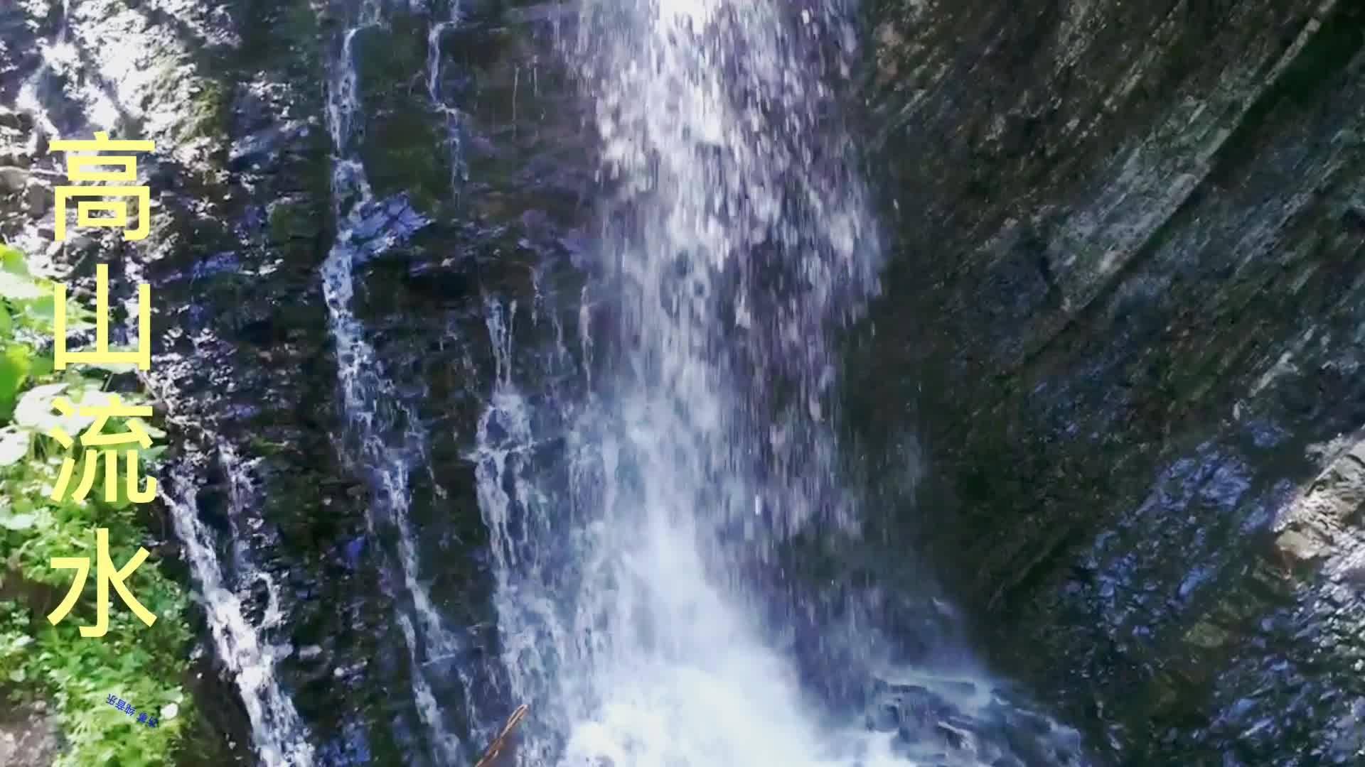 月光影视
