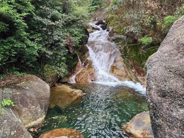 牛油果面包