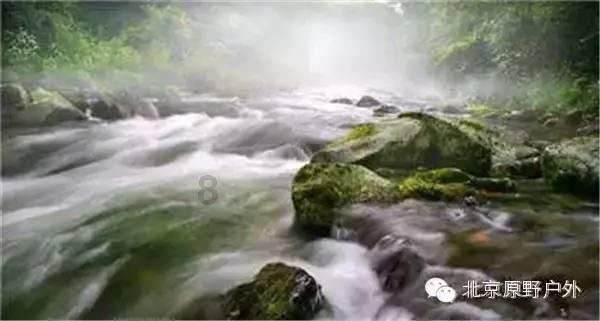 中国吃猪油的人有多少?游戏画面