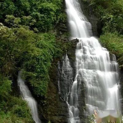 摩尔庄园手游驾照考试答案大全
