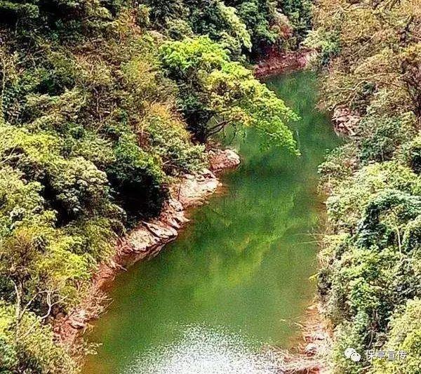 御龙在天