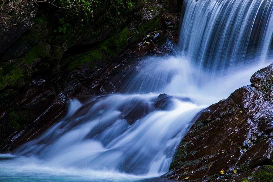 除鬼师