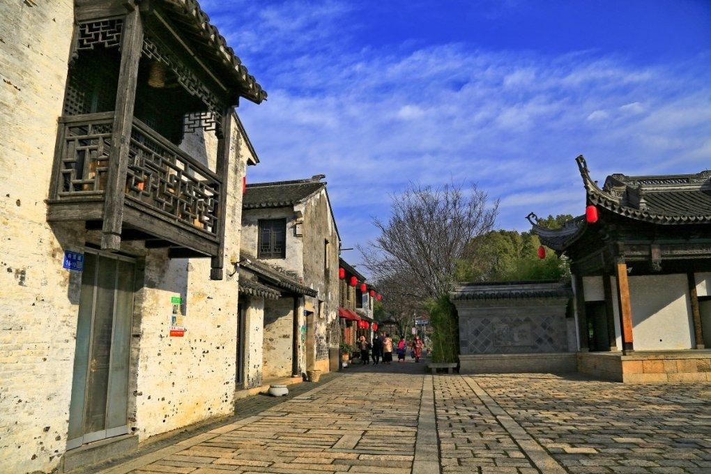 动物帮帮忙保卫家园