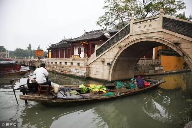 人民建议直通车 | 和老鼠斗智斗勇,植保站长有话说
