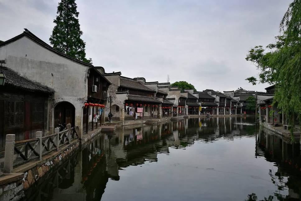 救援受困的长颈鹿