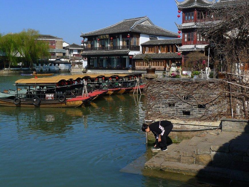 小长颈鹿逃离