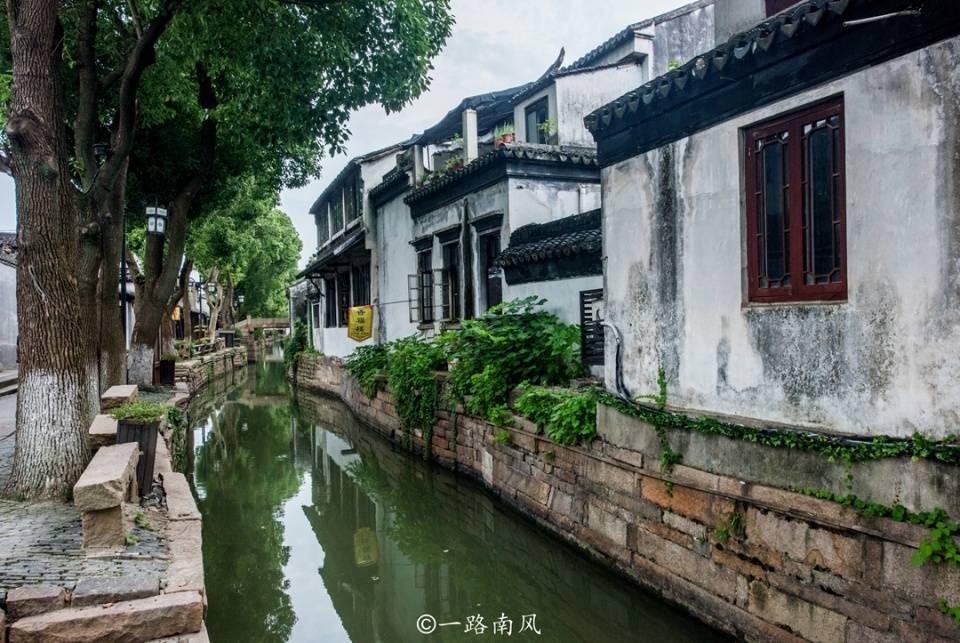 让吃货“束手无策”的入侵物种，长期以垃圾为食！网友：下不去口