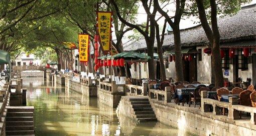 茶文化与技术的交融：探寻茶叶内在的真相与核心价值