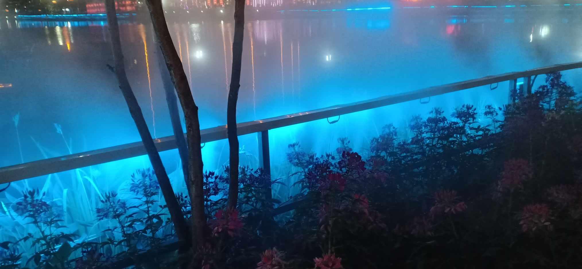 标致汽车找钥匙