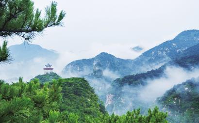 阿凯历险记