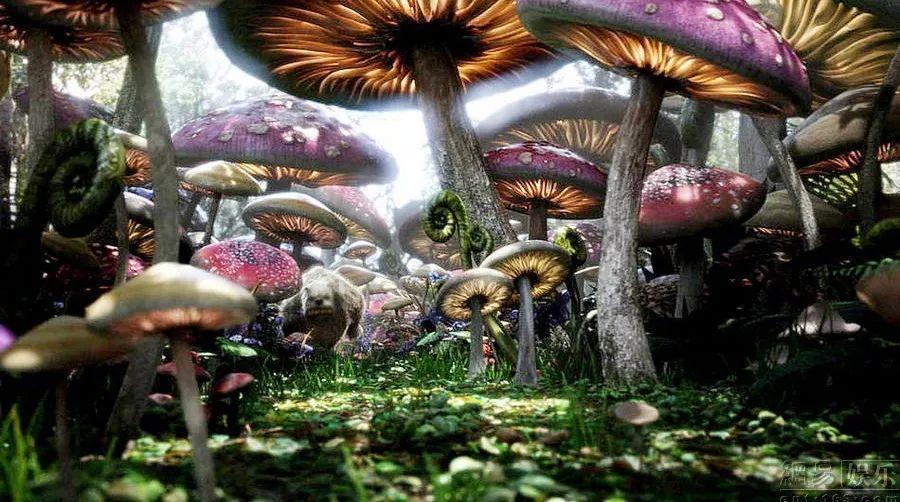 逃离游戏研究中心